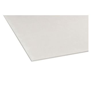 Promatect-H Brandwerende Plaat 250x125cm